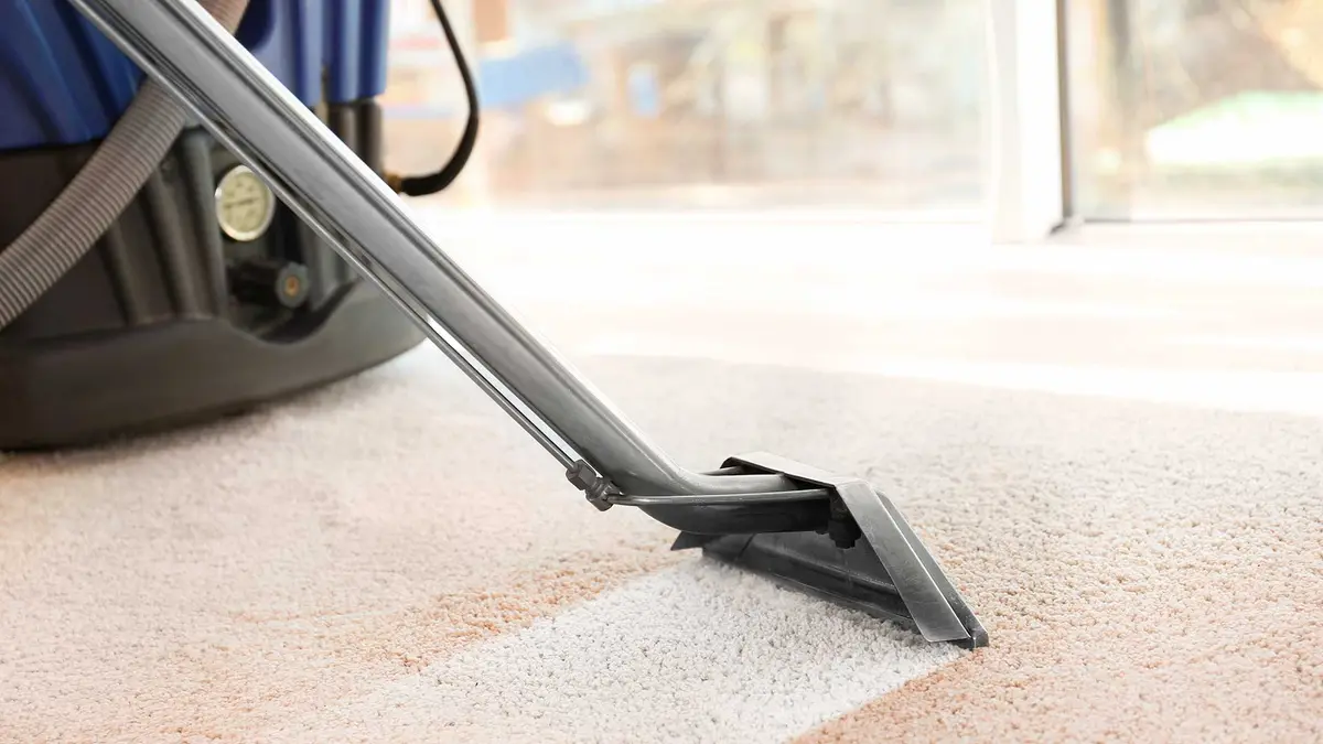 Technician cleaning carpet