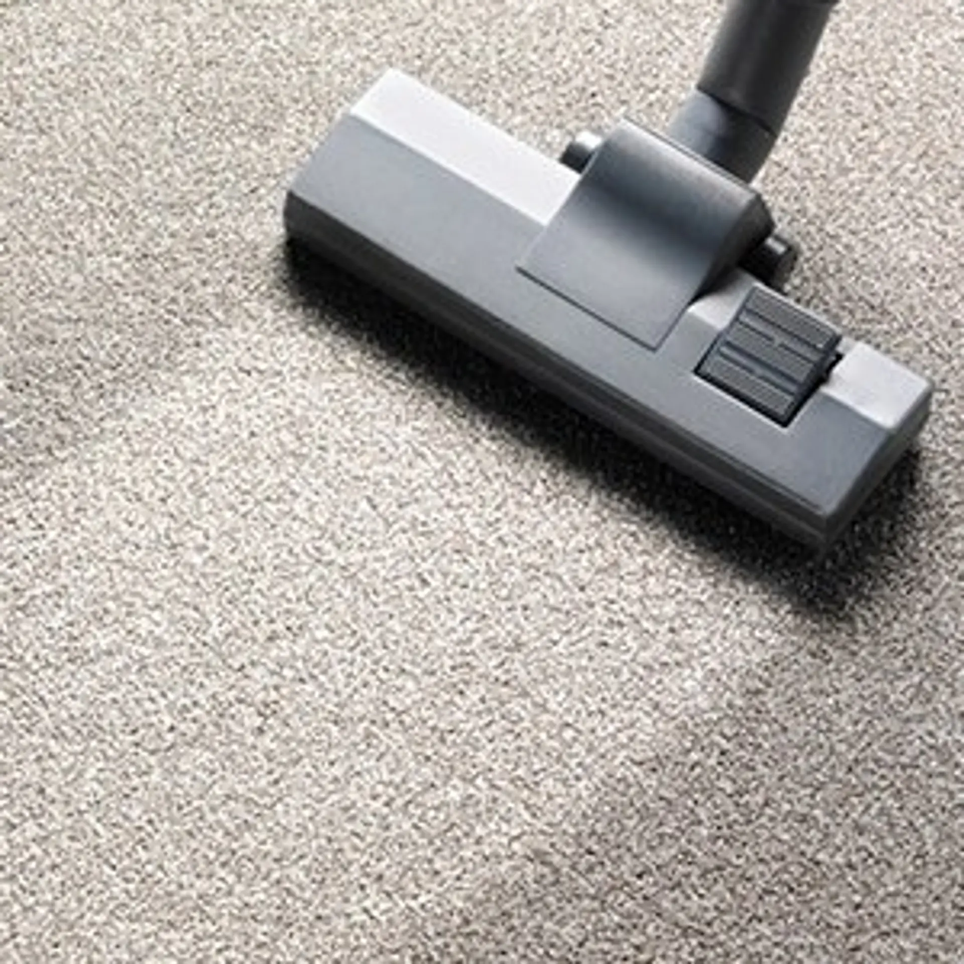 Professional carpet cleaning
